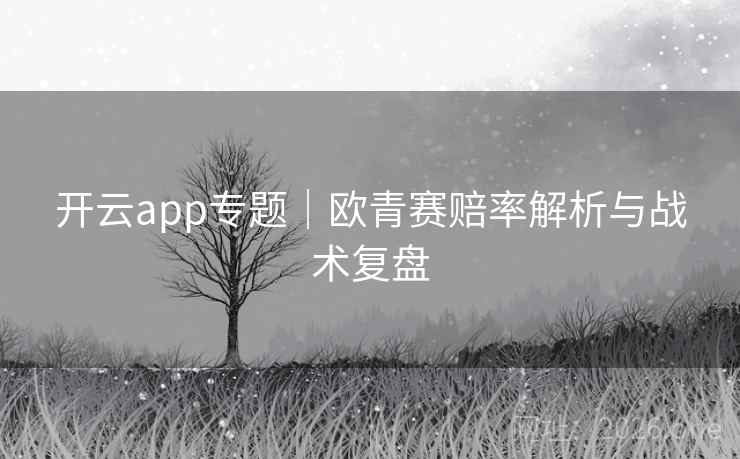 开云app专题｜欧青赛赔率解析与战术复盘