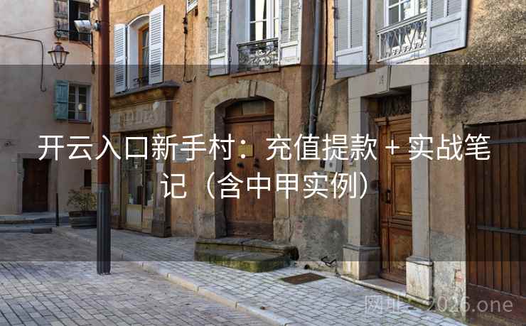 开云入口新手村：充值提款 + 实战笔记（含中甲实例）