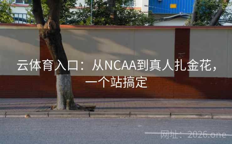 云体育入口:从NCAA到真人扎金花,一个站搞定