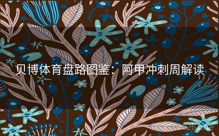 贝博体育盘路图鉴:阿甲冲刺周解读