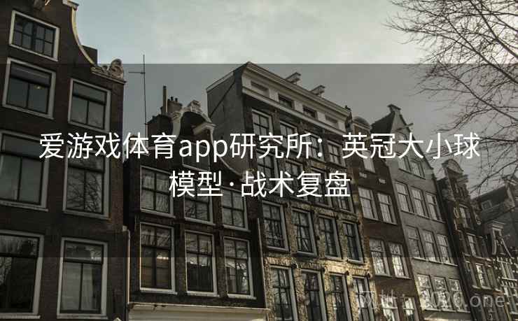 爱游戏体育app研究所：英冠大小球模型·战术复盘